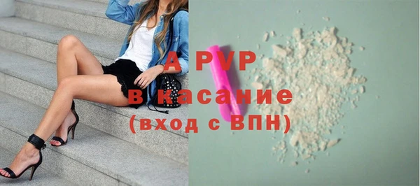 стафф Горно-Алтайск