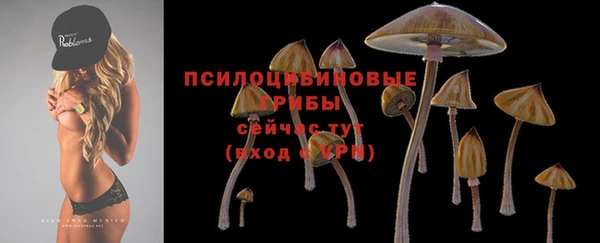 стафф Горнозаводск