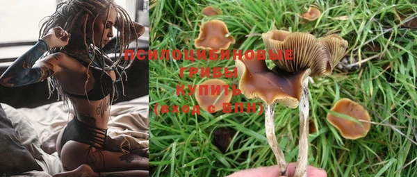 метадон Горняк