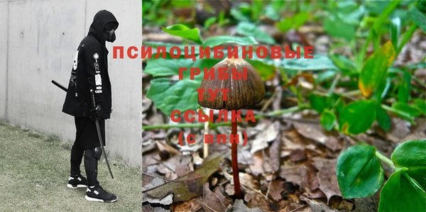 метадон Горняк