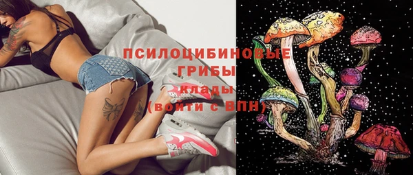 стафф Горнозаводск