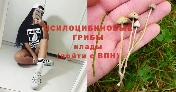 метадон Горняк