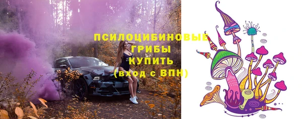 стафф Горно-Алтайск