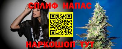 jwh Кимры
