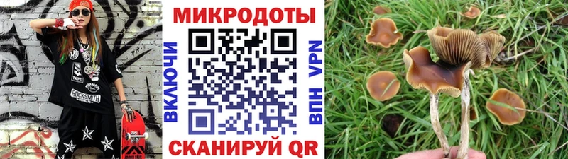 продажа наркотиков  мега как зайти  Псилоцибиновые грибы мухоморы  Муром 