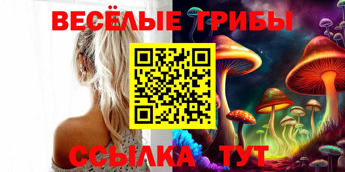 Галлюциногенные грибы мухоморы  Псилоцибиновые грибы прущие грибы  Муром  Вход с VPN 