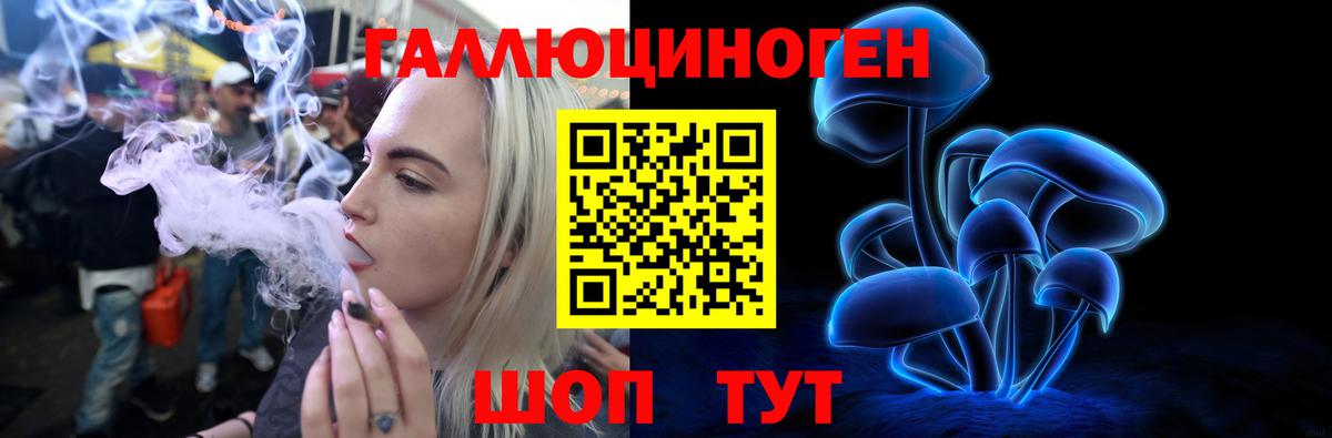 Псилоцибиновые грибы Psilocybe Муром