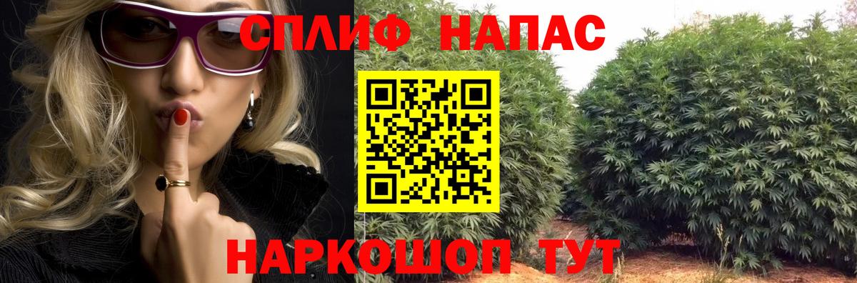 Конопля Amnesia Муром